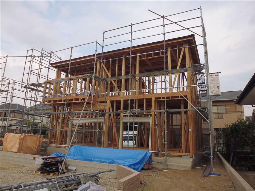 Local appearance photo. Local photo (2013 November 16, 2008)