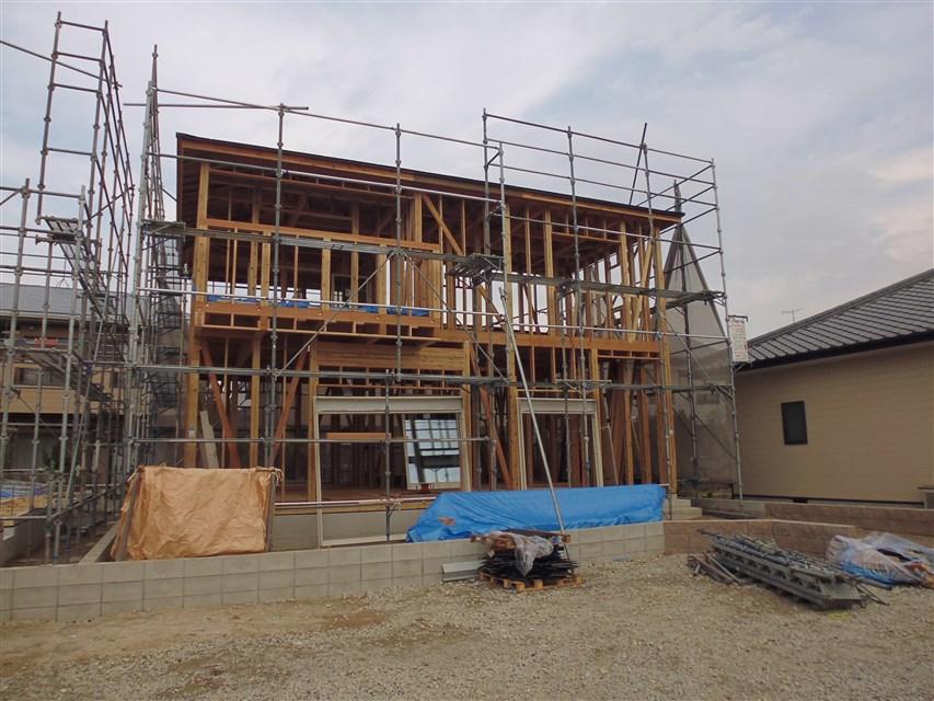 Local appearance photo. Local photo (2013 November 16, 2008)