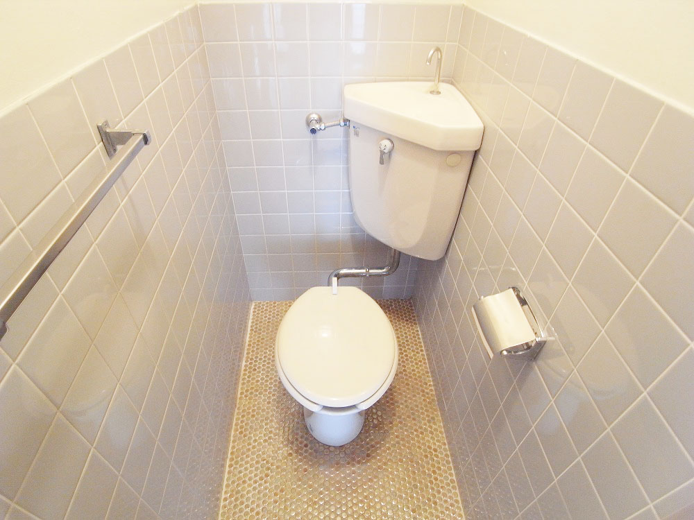 Toilet. Toilet properly Western-style type