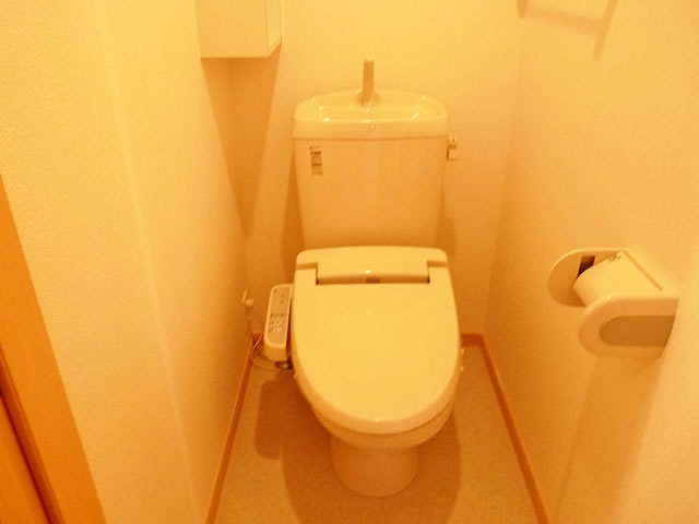 Toilet. Toilet