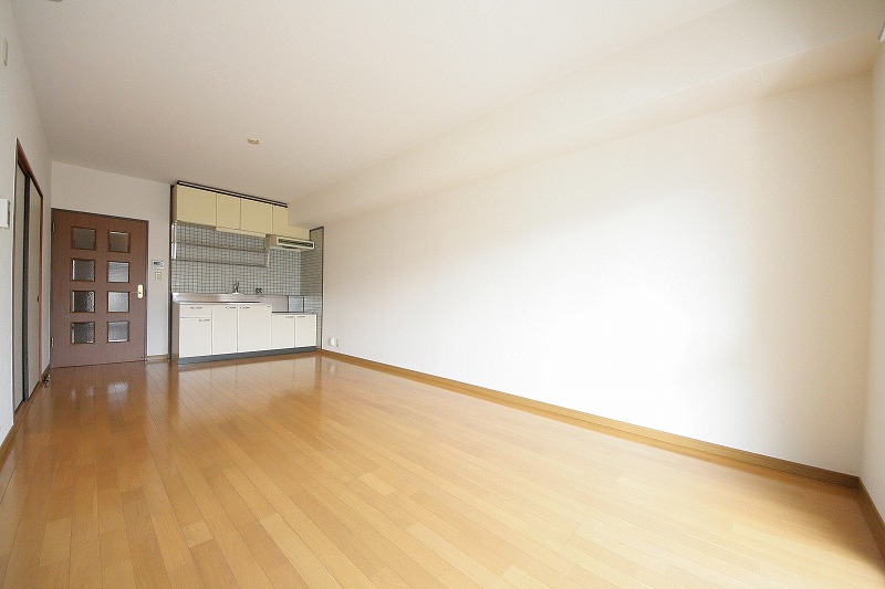 Kitchen. Bright living room