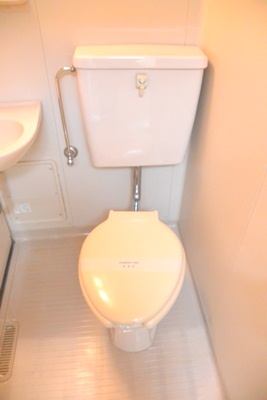 Toilet. Toilet