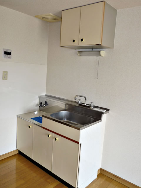 Kitchen. Kitchen (gas stove bring)