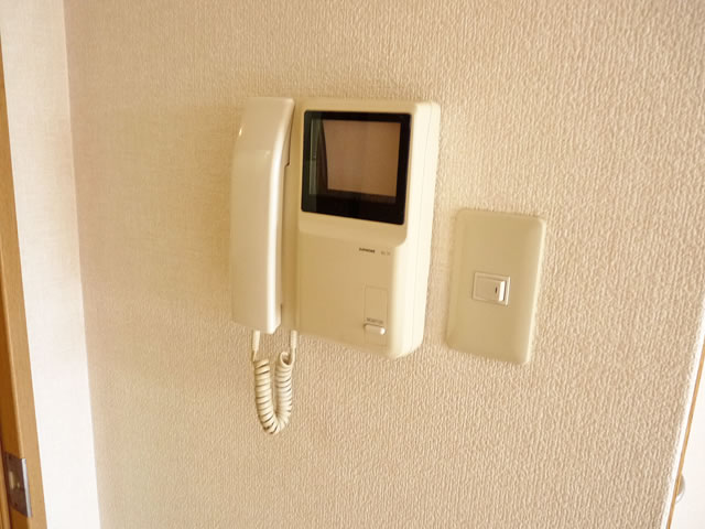 Security. TV monitor with intercom
