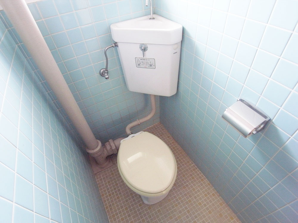 Toilet. Toilet is also equipped with window Semeru Away!