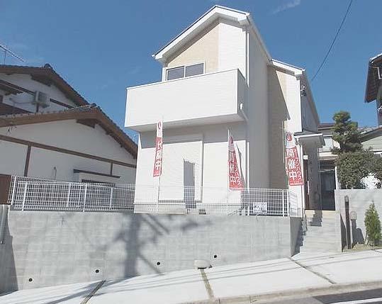 Local photos, including front road. Local (10 May 2013) Shooting