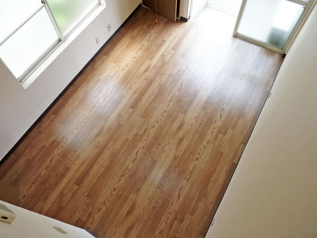 Living and room. Interior