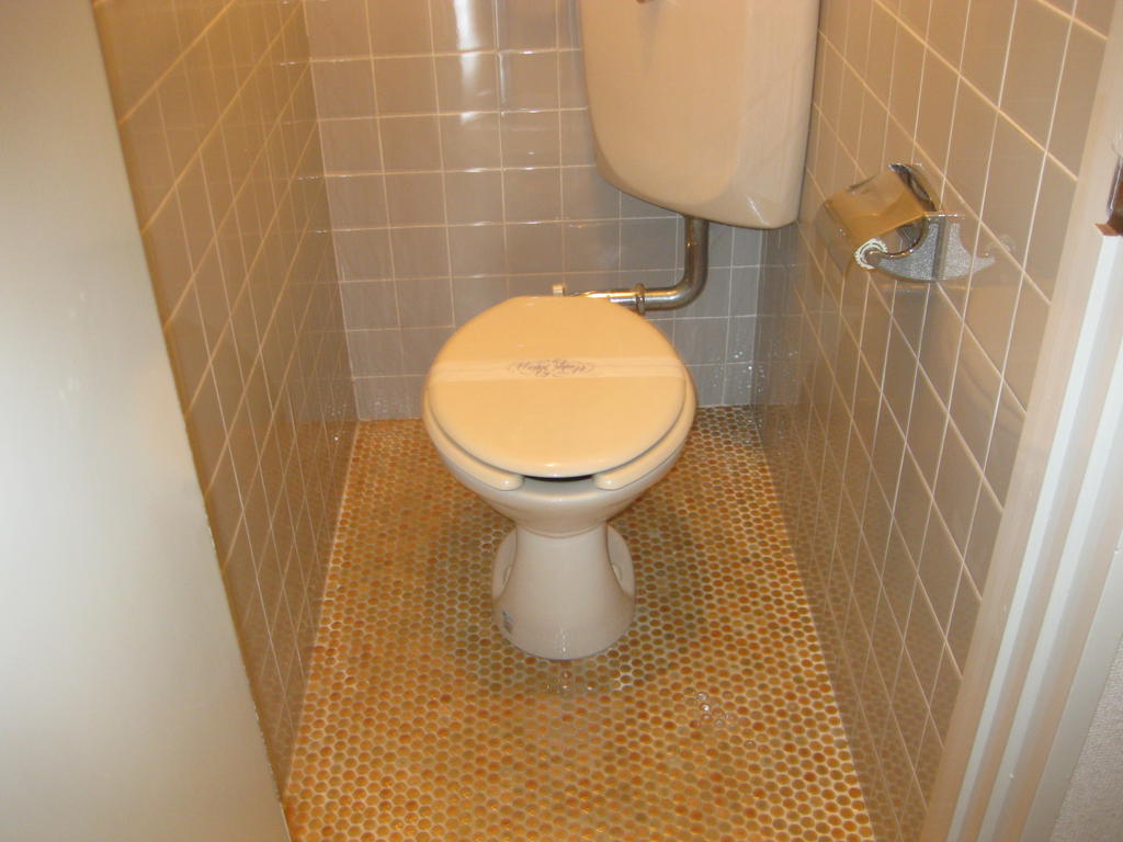 Toilet
