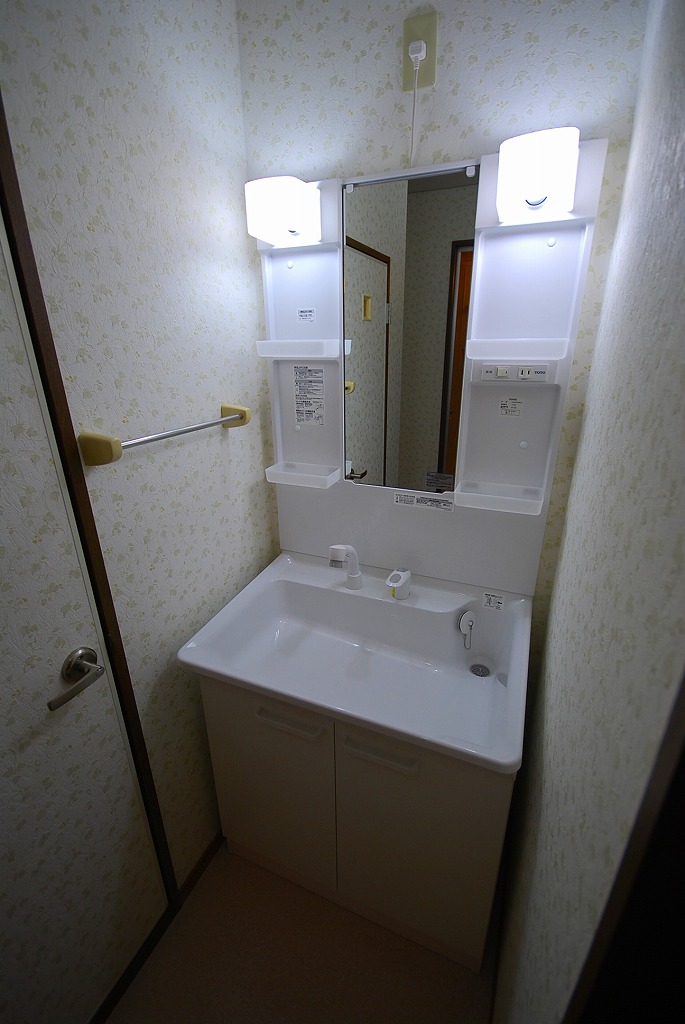 Washroom. Shampoo dresser