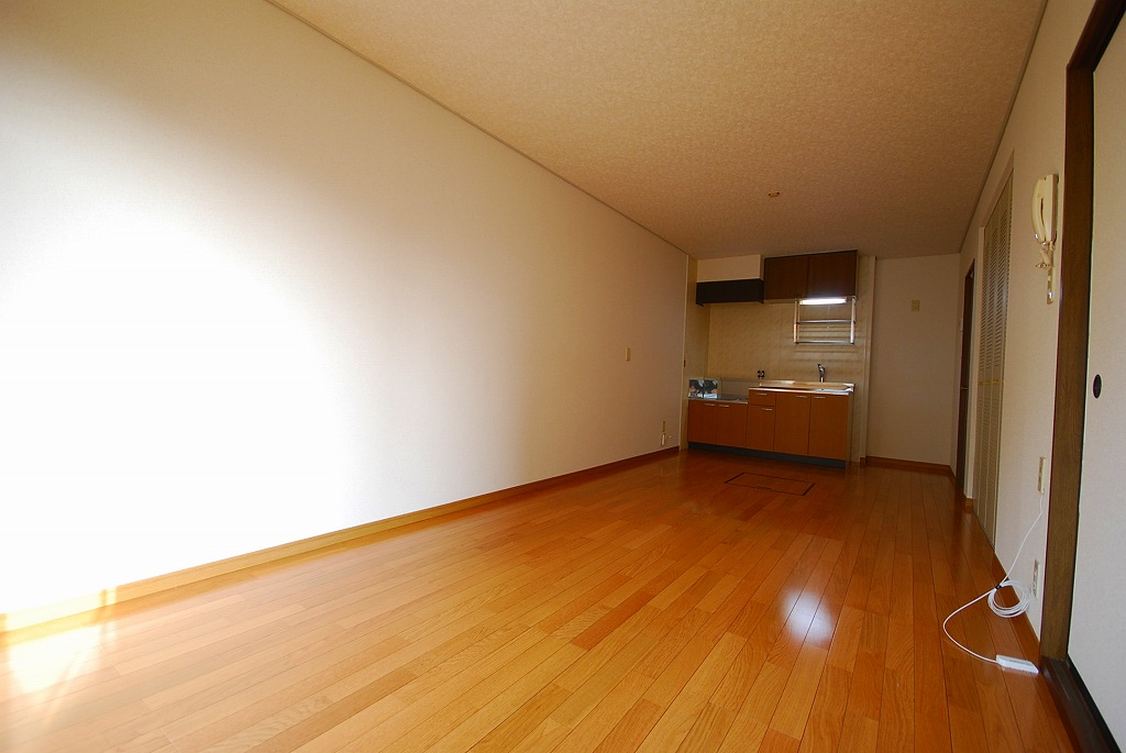 Living and room. Living