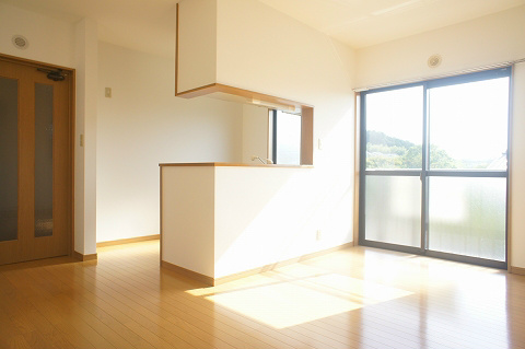 Living and room. Kitchen