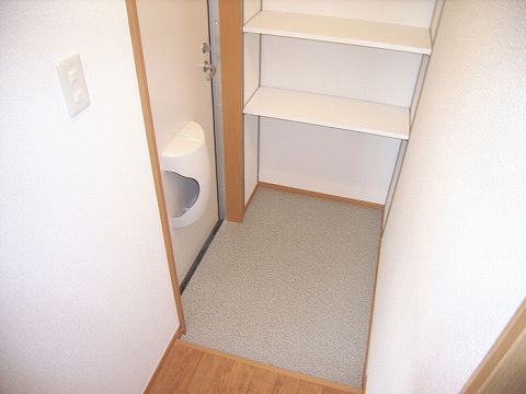 Entrance. Also comes with a shoe box.