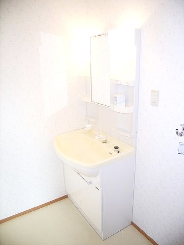 Washroom. Shampoo is with Dresser.