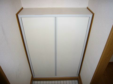 Entrance. Shoes is with a box. 