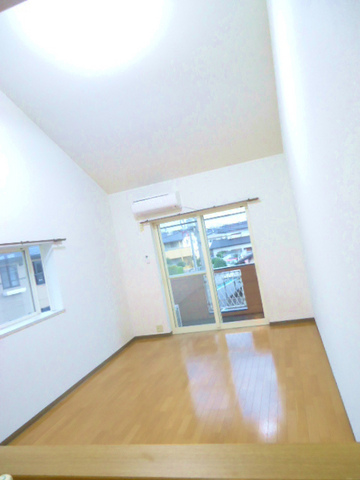 Living and room. Bright living