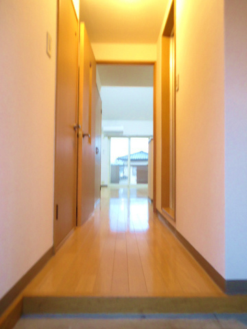 Entrance. There is a corridor