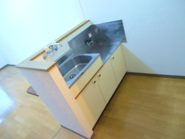 Kitchen. Is a gas stove brought expressions kitchen