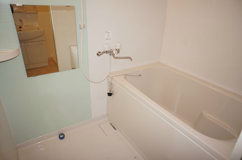 Bath. Bathroom is also beautiful. 