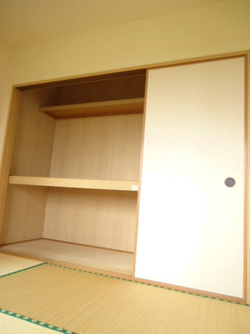 Other room space. Storage lot