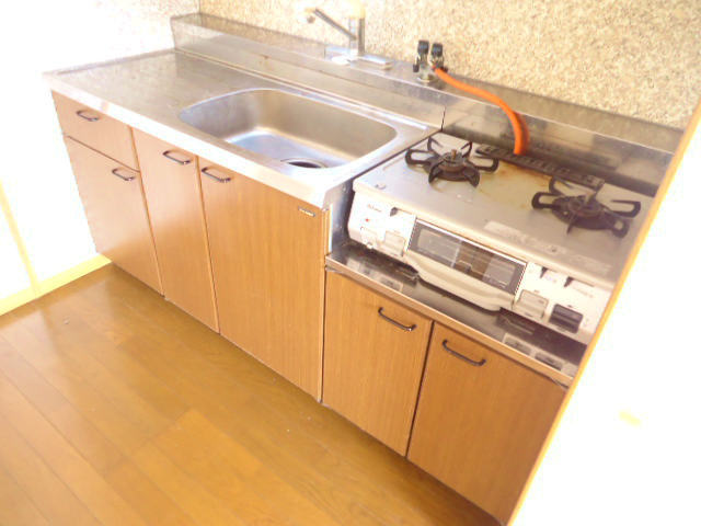 Kitchen. Gas stove brought expressions kitchen