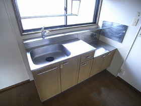 Kitchen. Gas stove bring type