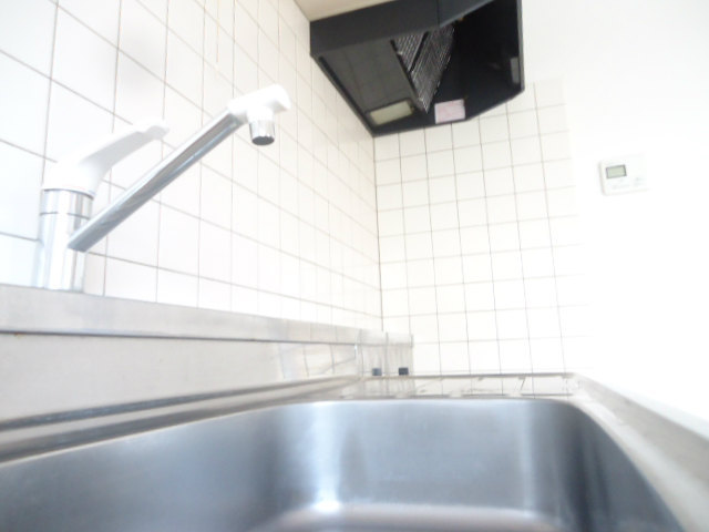 Kitchen. Spacious sink