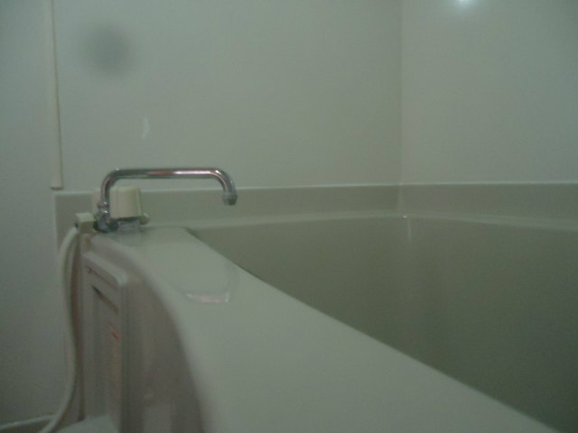 Bath. It is a bathroom with shower