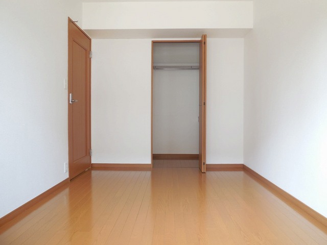 Living and room. The back of the bedroom walk-in closet