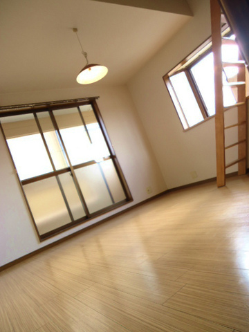 Living and room. There are a lot of window