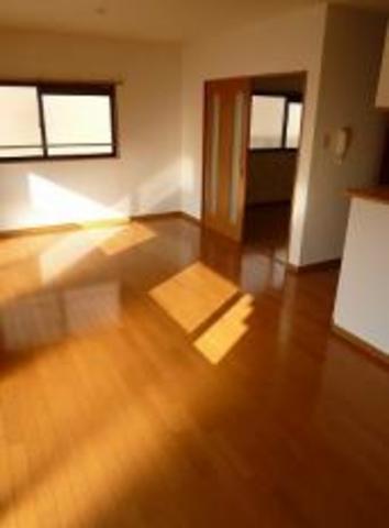 Other. The entire flooring