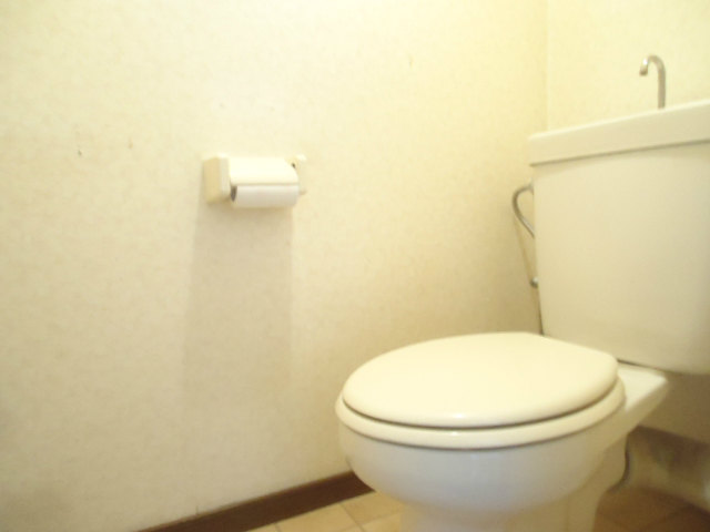 Other room space. It is a clean restroom