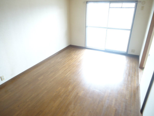 Living and room. Bright rooms