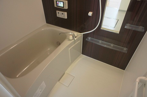 Bath. With bathroom TV. 