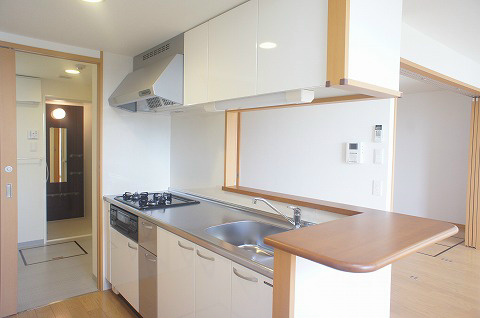 Kitchen. Popular counter kitchen. 