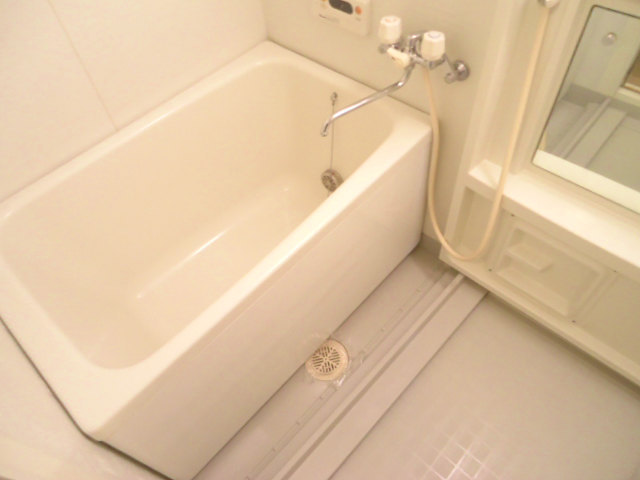 Bath. Clean bathroom