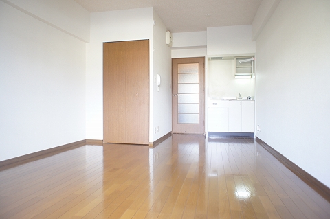 Other room space. Western style room