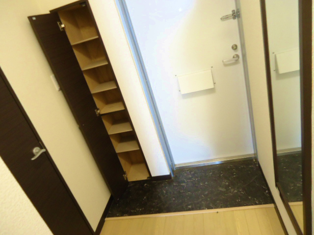 Entrance. Shoes is with a box