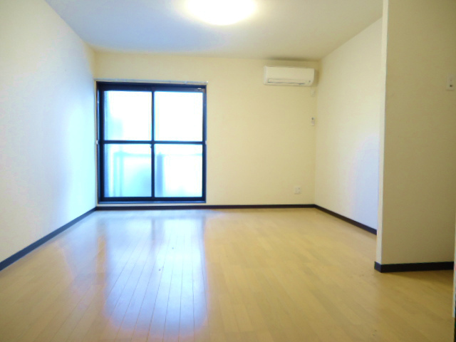 Living and room. Broad Western-style