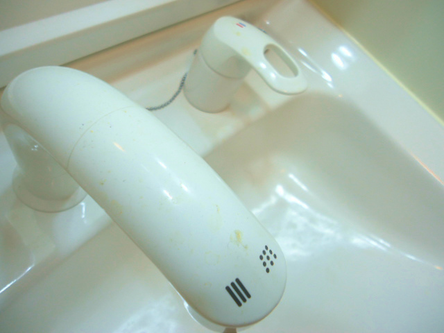 Other room space. You can also shampoo