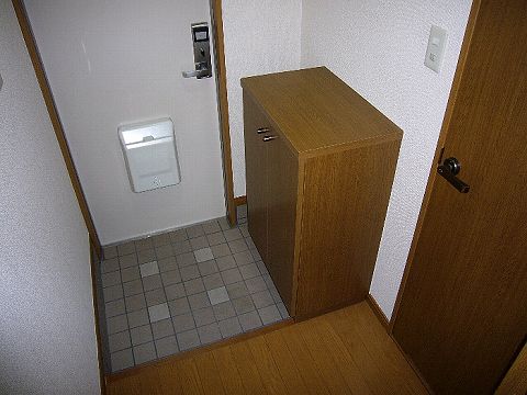 Entrance. Shoes is with a box.