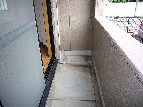 Balcony. South-facing balcony.