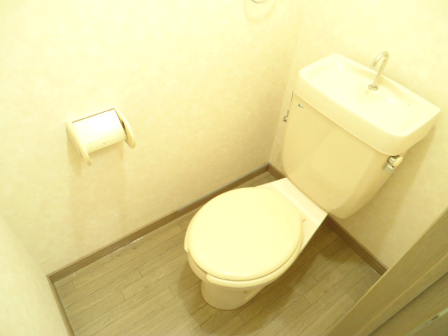 Other room space. It is a flush toilet