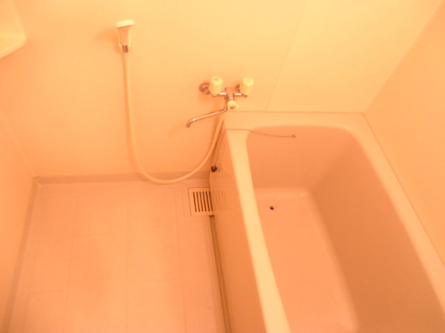 Bath. Clean bathroom