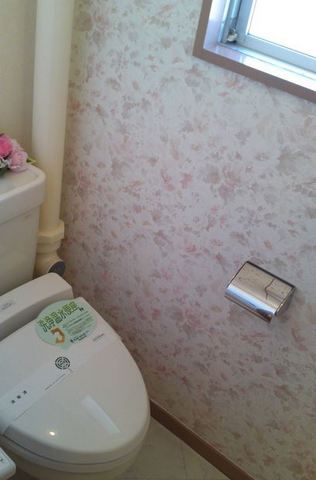 Other room space. Shower toilet There are toilet window