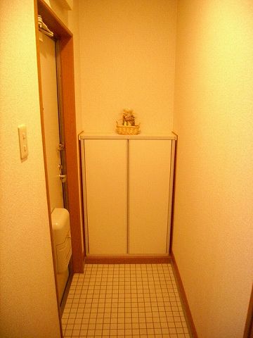 Entrance. Shoes is with a box.