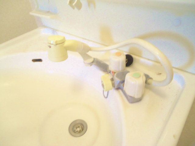 Other room space. Shampoo is Dresser