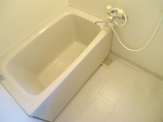 Bath. Beautiful bathroom