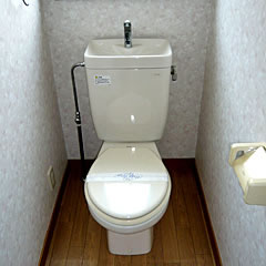 Toilet
