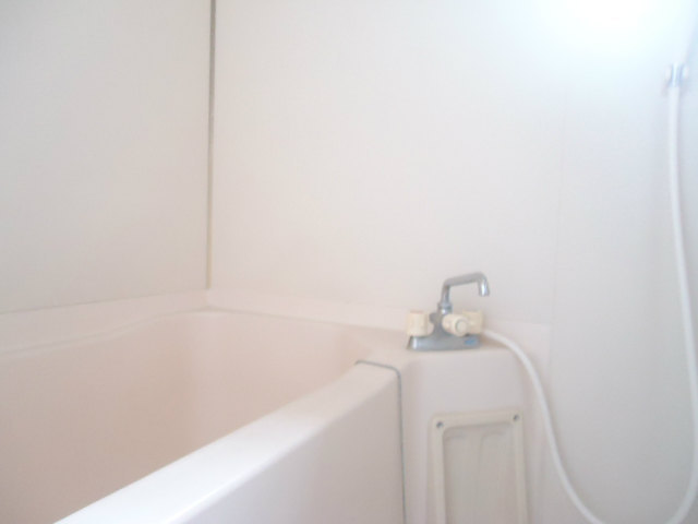 Bath. Beautiful bathroom