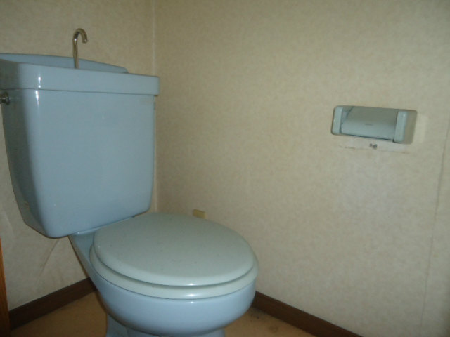 Other room space. It is a flush toilet